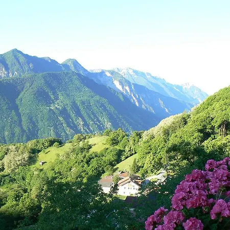 Fiori D'acacia Farm stay *